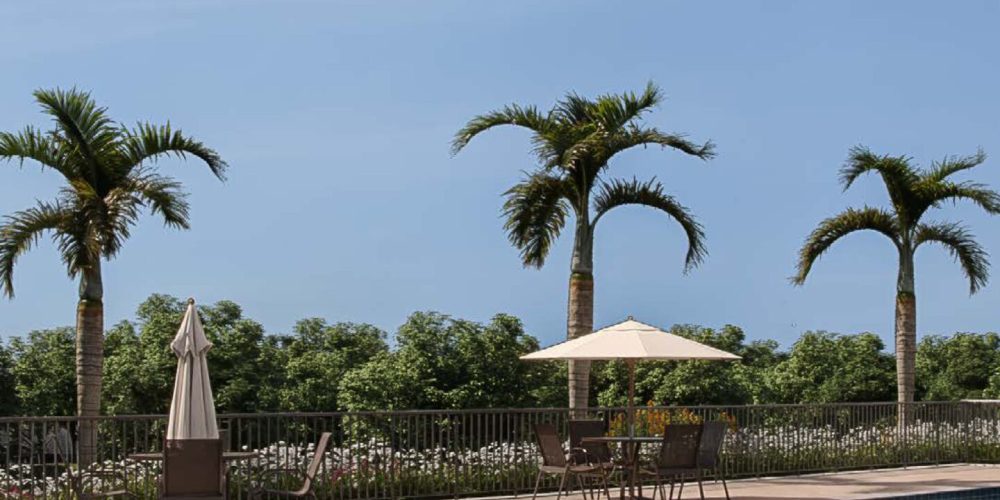 BOOK-css_paralela_parque_dos_principes_1080x1920px-1 (1)-imagens-13
