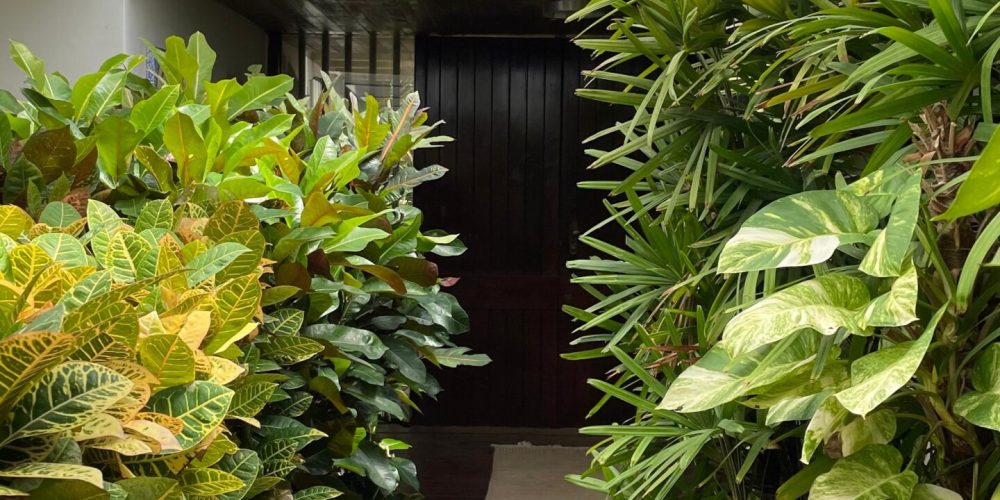 WhatsApp Image 2025-09-24 at 15.41.41