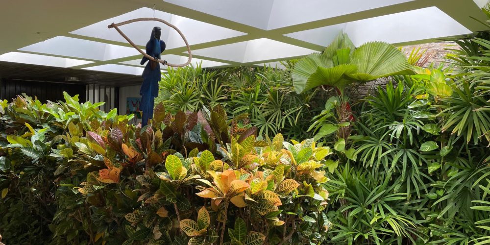 WhatsApp Image 2025-09-24 at 15.41.42