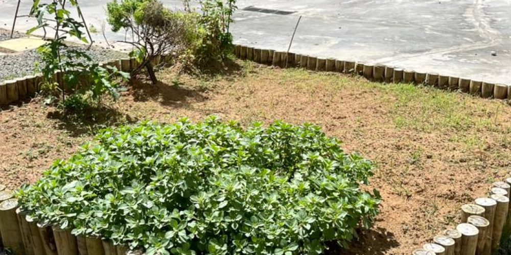 WhatsApp Image 2025-10-09 at 08.29.53