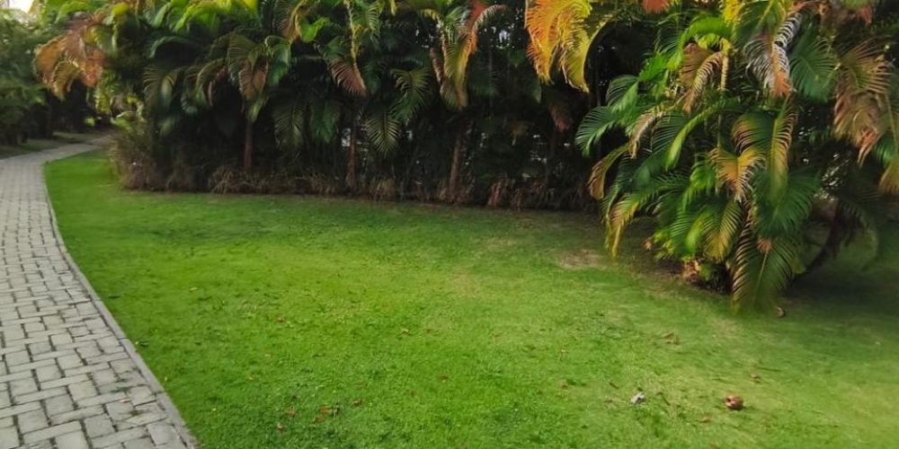 WhatsApp Image 2025-11-02 at 14.53.46