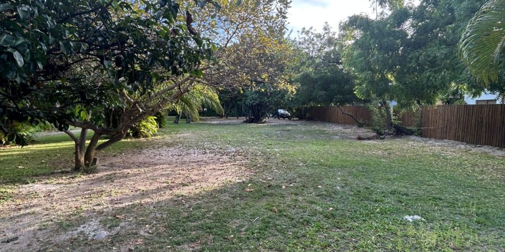 WhatsApp Image 2025-11-02 at 14.53.47 (2)