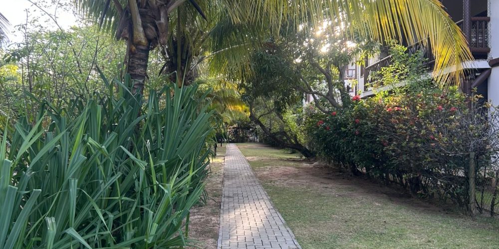 WhatsApp Image 2025-11-02 at 14.53.47 (3)