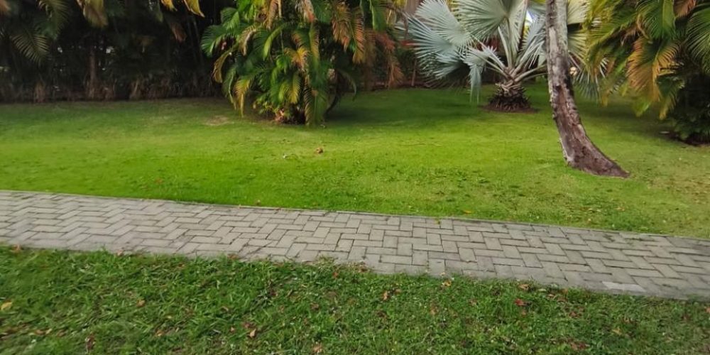 WhatsApp Image 2025-11-02 at 14.53.47