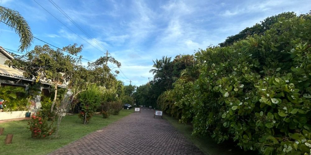 WhatsApp Image 2025-11-02 at 14.53.48