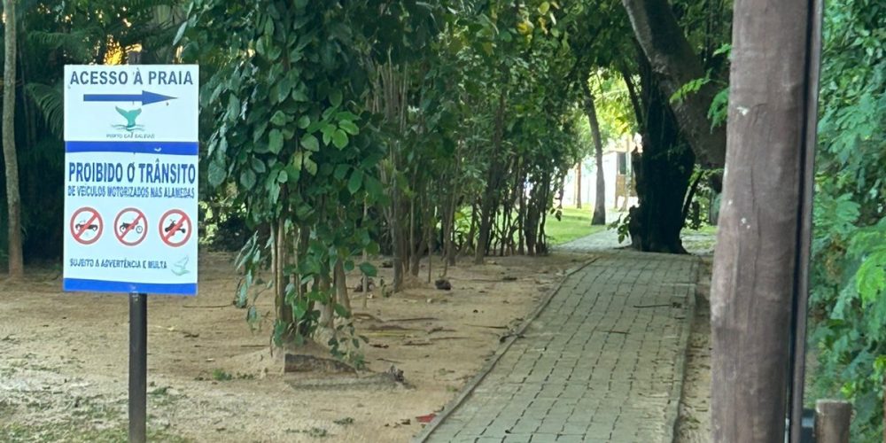 WhatsApp Image 2025-11-02 at 14.53.50