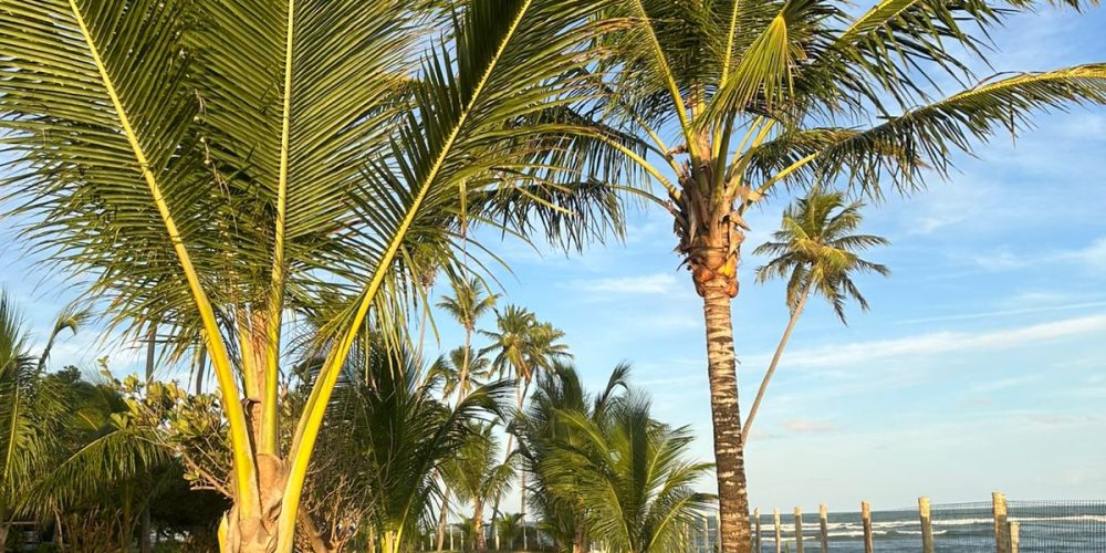 WhatsApp Image 2025-11-02 at 14.53.51