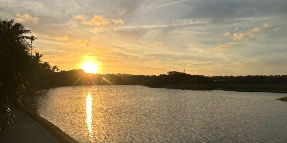 WhatsApp Image 2025-11-02 at 14.53.52 (2)