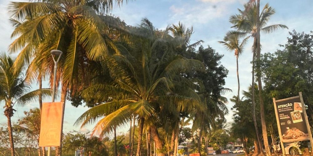 WhatsApp Image 2025-11-02 at 14.53.52 (4)