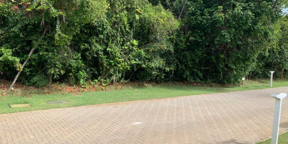 WhatsApp Image 2025-11-03 at 08.39.11 (1)