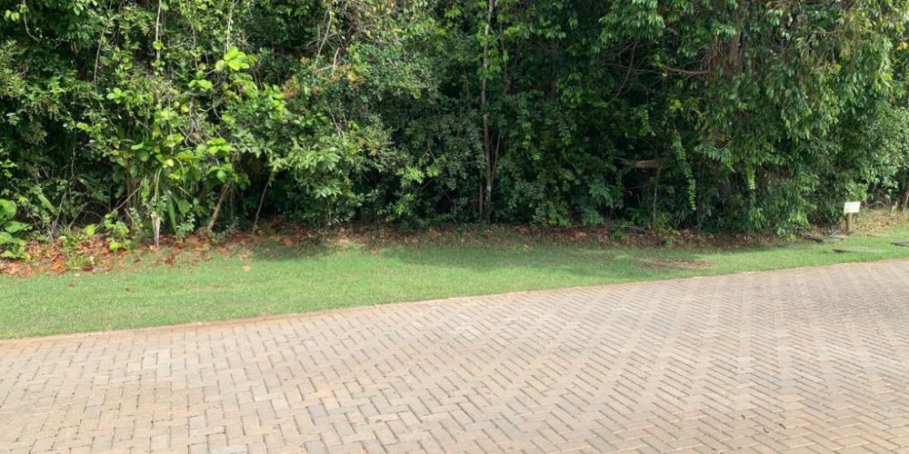 WhatsApp Image 2025-11-03 at 08.39.11