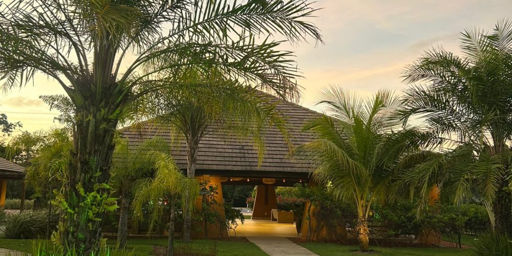 WhatsApp Image 2025-11-03 at 08.39.14