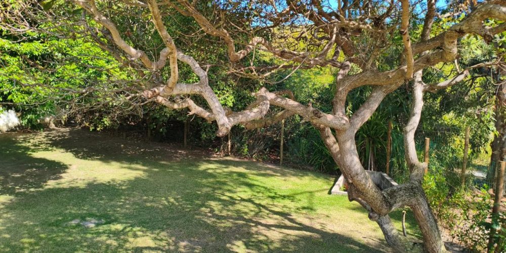 WhatsApp Image 2025-11-03 at 10.16.46