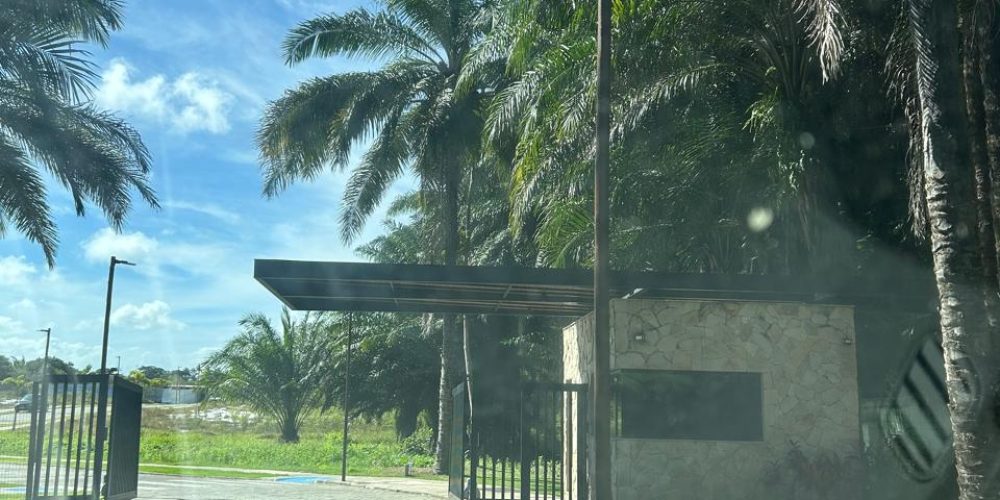 WhatsApp Image 2025-11-03 at 10.16.49