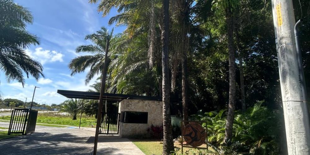 WhatsApp Image 2025-11-03 at 10.16.50 (1)