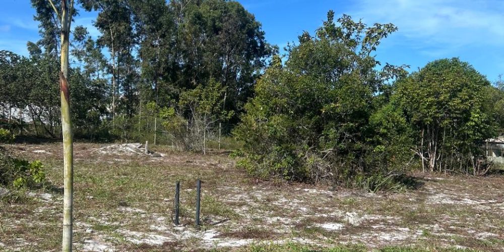 WhatsApp Image 2025-11-03 at 10.16.52 (1)