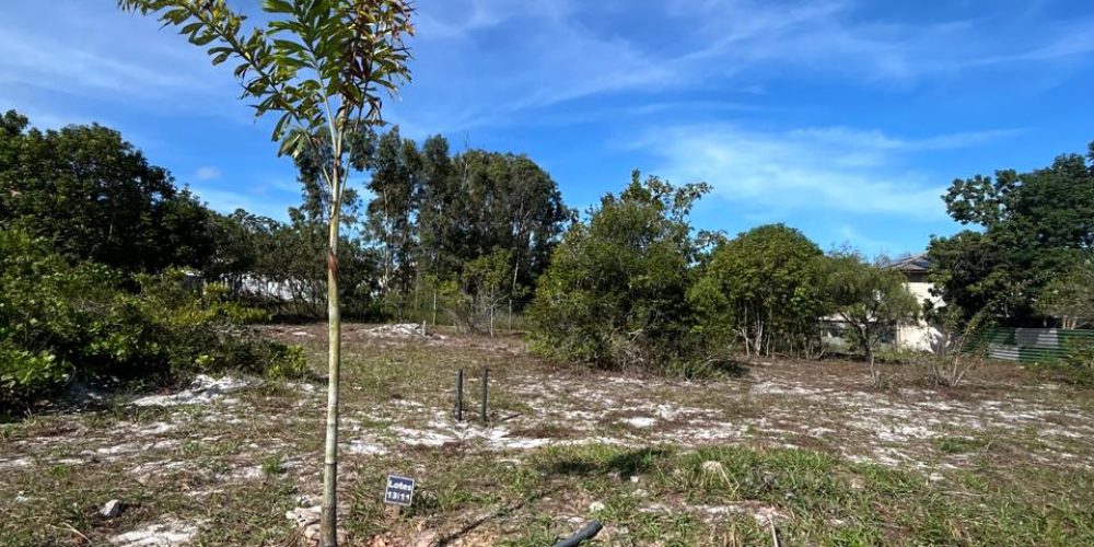 WhatsApp Image 2025-11-03 at 10.16.53