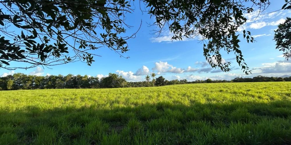 WhatsApp Image 2025-11-03 at 10.44.17 (1)