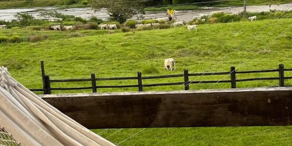 WhatsApp Image 2025-11-03 at 10.44.17 (2)