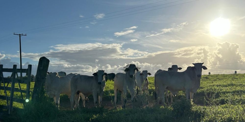 WhatsApp Image 2025-11-03 at 10.44.17