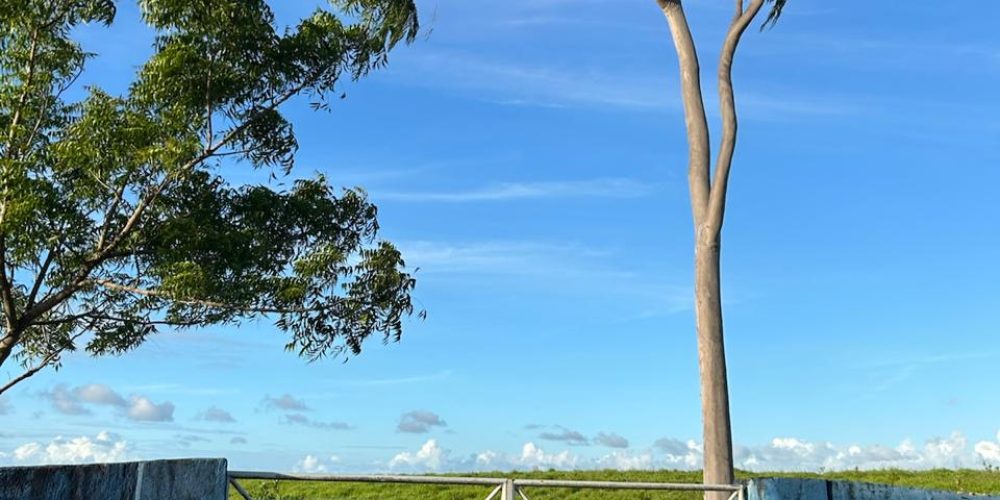 WhatsApp Image 2025-11-03 at 10.44.18 (1)