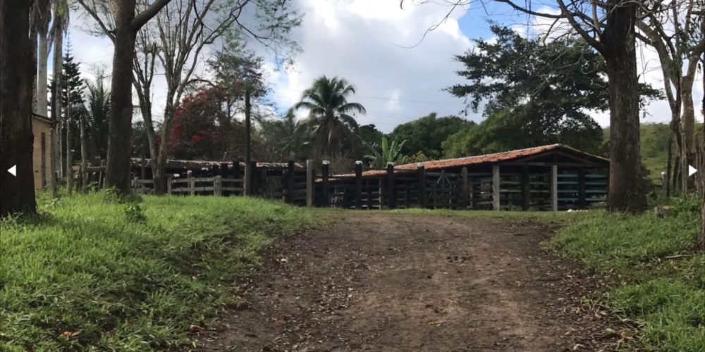 WhatsApp Image 2025-11-03 at 10.44.18 (2)