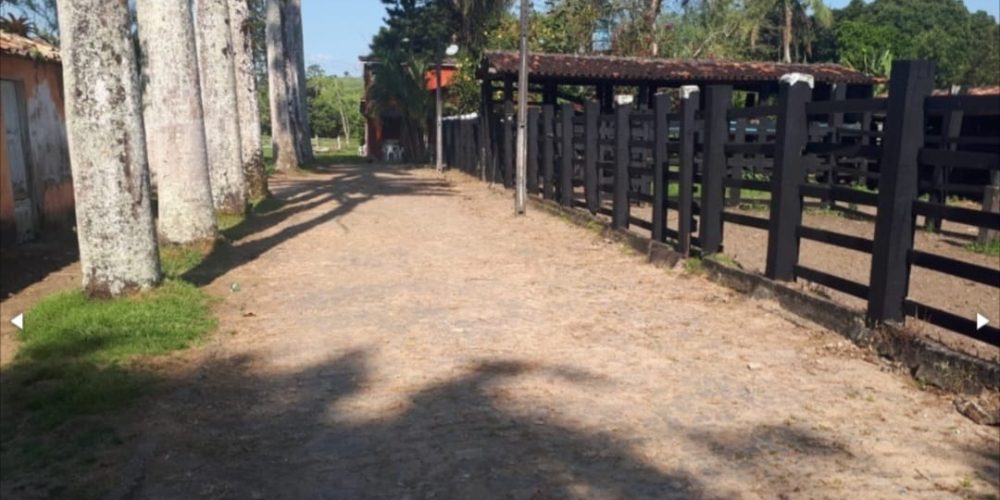 WhatsApp Image 2025-11-03 at 10.44.18 (3)