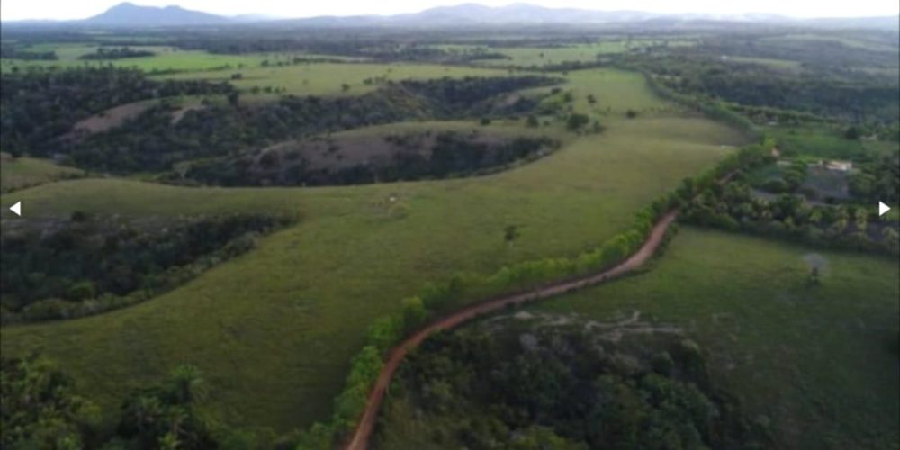 WhatsApp Image 2025-11-03 at 10.44.18 (4)