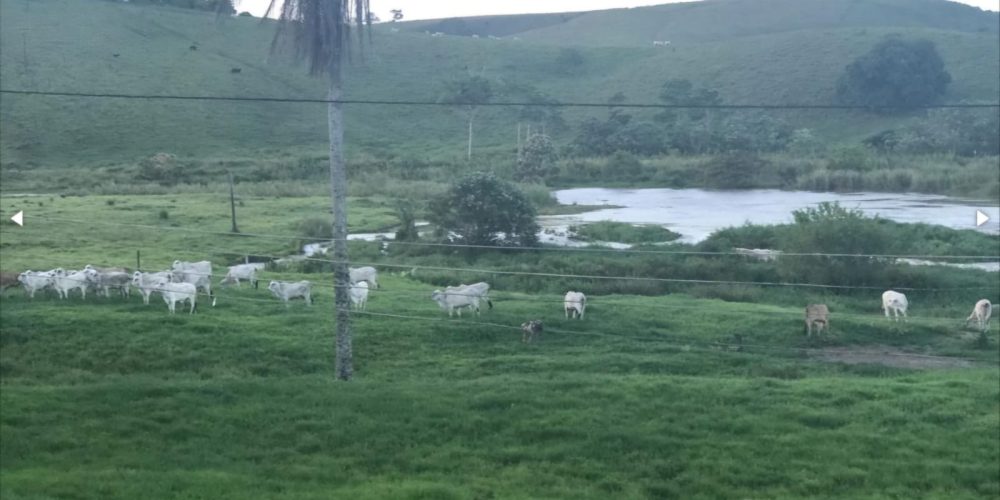 WhatsApp Image 2025-11-03 at 10.44.18 (5)