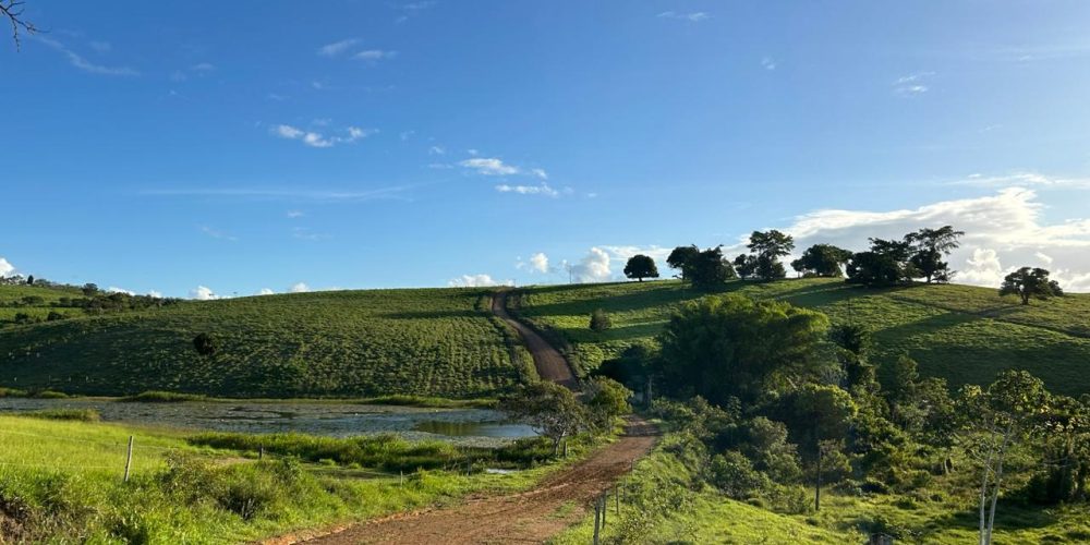 WhatsApp Image 2025-11-03 at 10.44.18