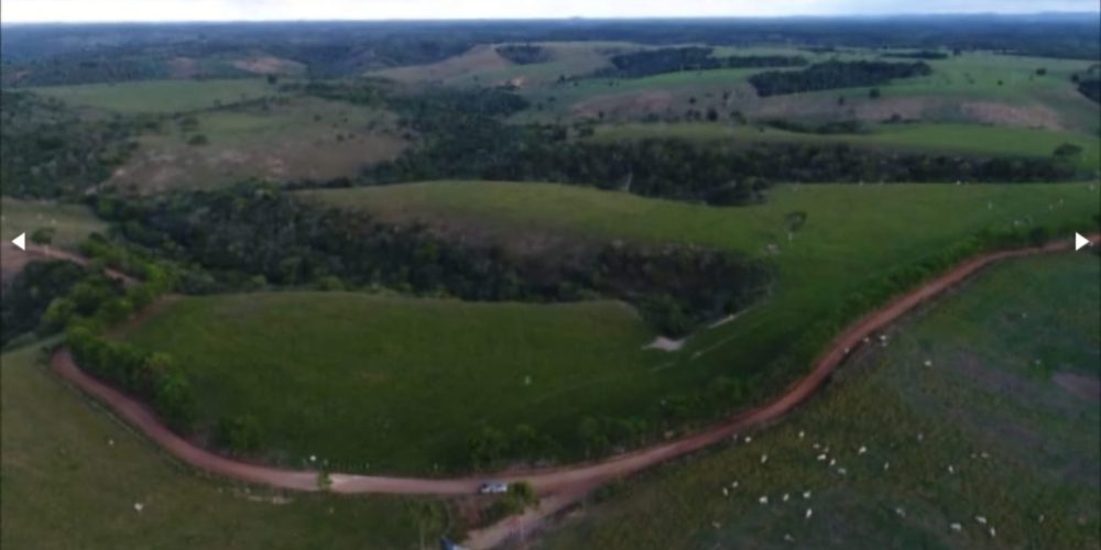 WhatsApp Image 2025-11-03 at 10.44.19 (1)