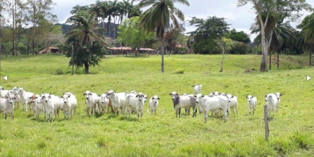 WhatsApp Image 2025-11-03 at 10.44.19 (2)