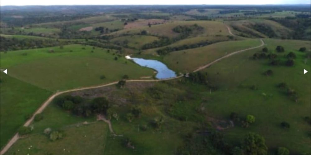 WhatsApp Image 2025-11-03 at 10.44.19 (3)