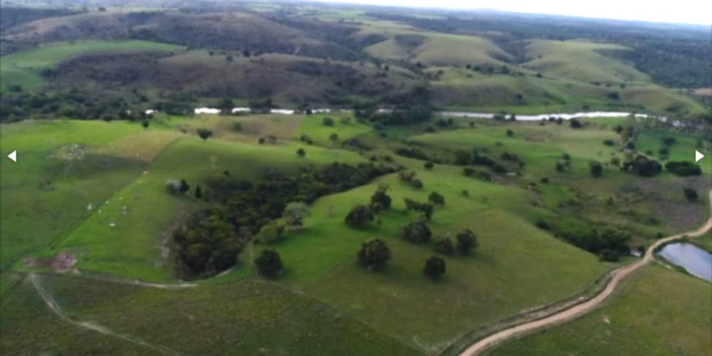 WhatsApp Image 2025-11-03 at 10.44.19