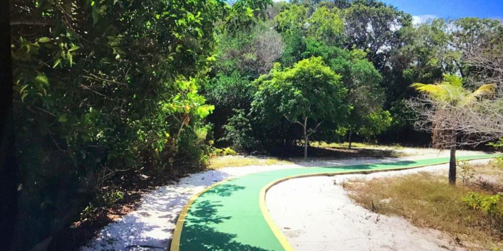 WhatsApp Image 2025-11-04 at 14.45.00 (4)