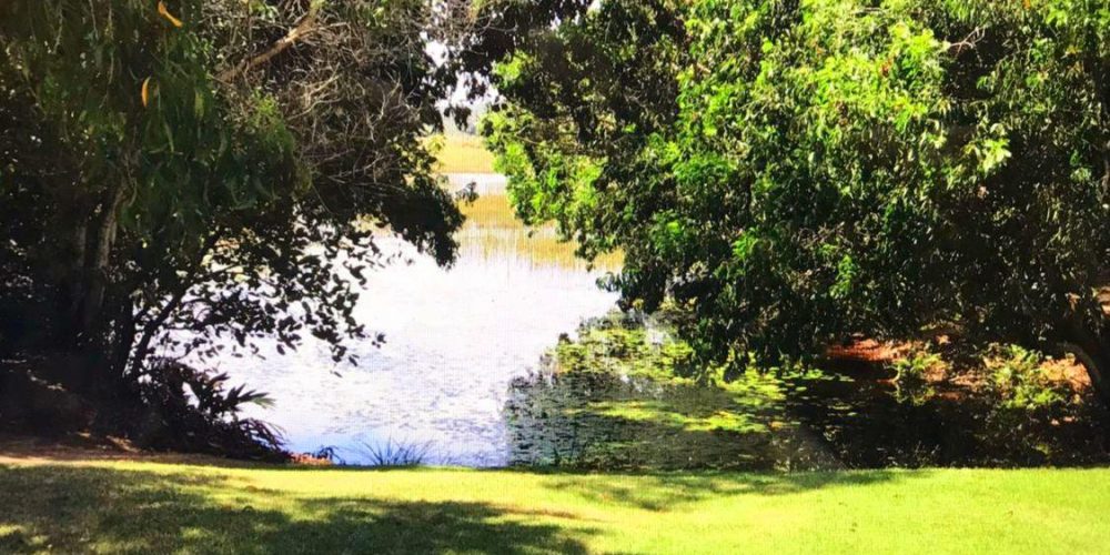 WhatsApp Image 2025-11-04 at 14.45.01 (2)