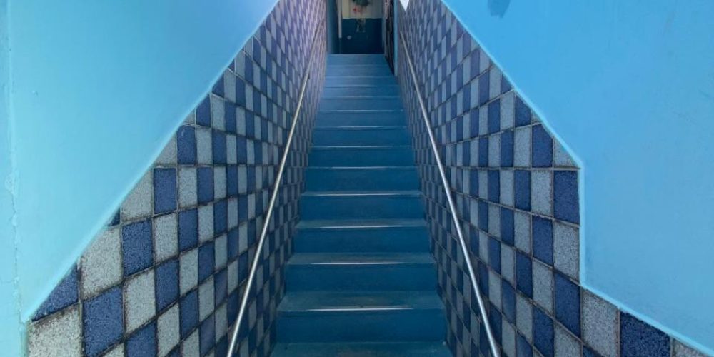 WhatsApp Image 2026-01-29 at 11.50.44