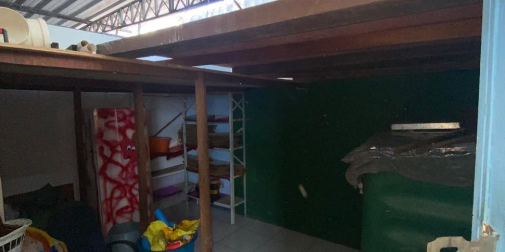 WhatsApp Image 2026-01-29 at 11.50.47 (2)