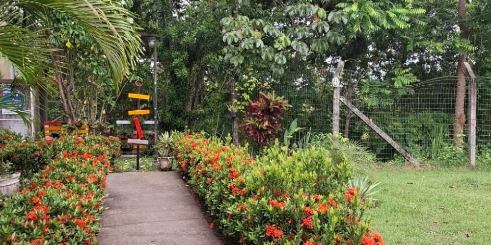 WhatsApp Image 2026-04-23 at 14.10.32 (3)