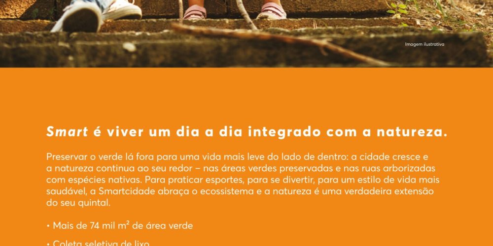 book -imagens-3